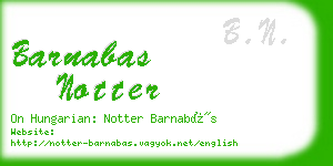 barnabas notter business card